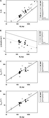 Comparative Respiratory Physiology in Cetaceans